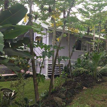 The Dolphin Cottage At Kehena Beach المظهر الخارجي الصورة