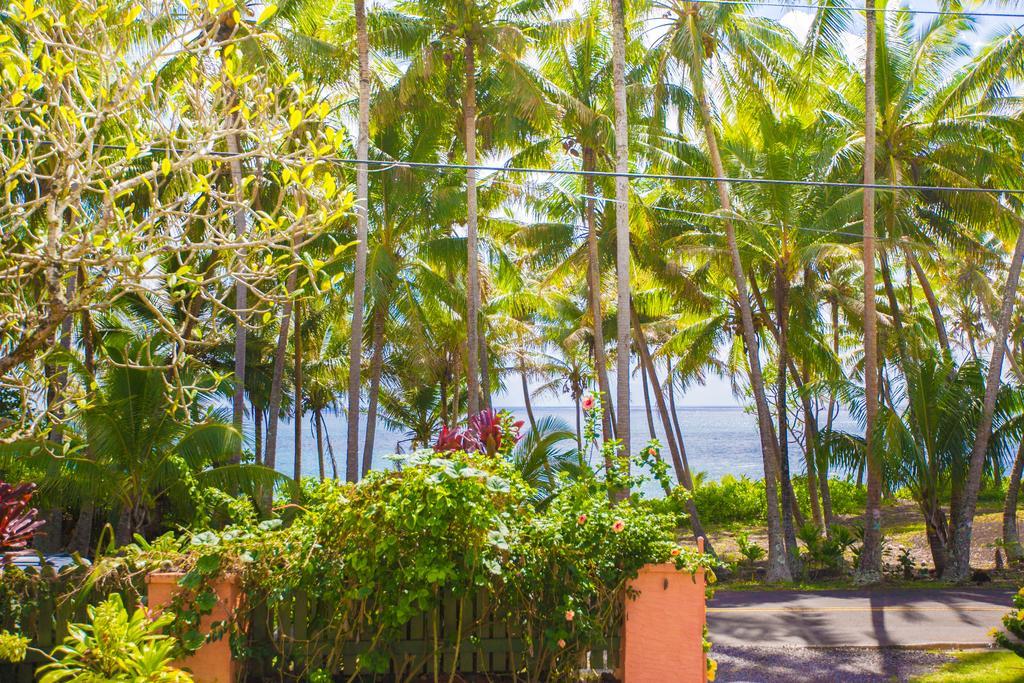 The Dolphin Cottage At Kehena Beach المظهر الخارجي الصورة