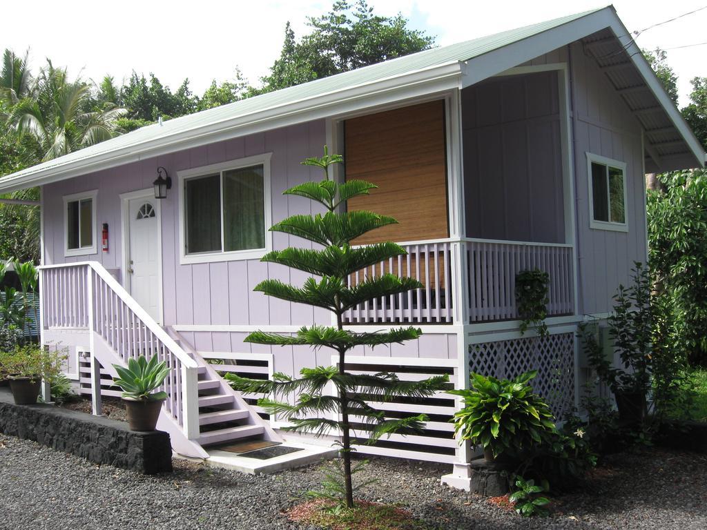 The Dolphin Cottage At Kehena Beach المظهر الخارجي الصورة