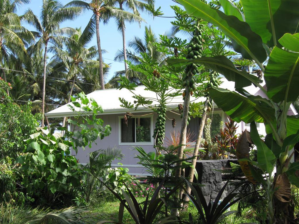 The Dolphin Cottage At Kehena Beach المظهر الخارجي الصورة