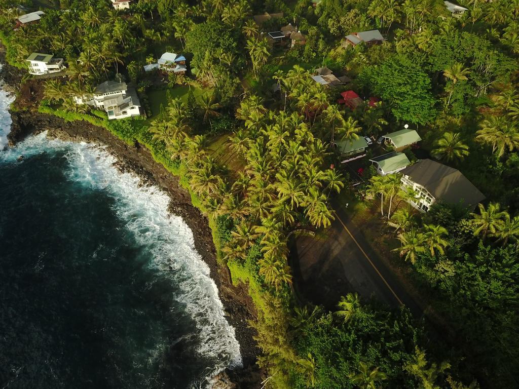 The Dolphin Cottage At Kehena Beach المظهر الخارجي الصورة