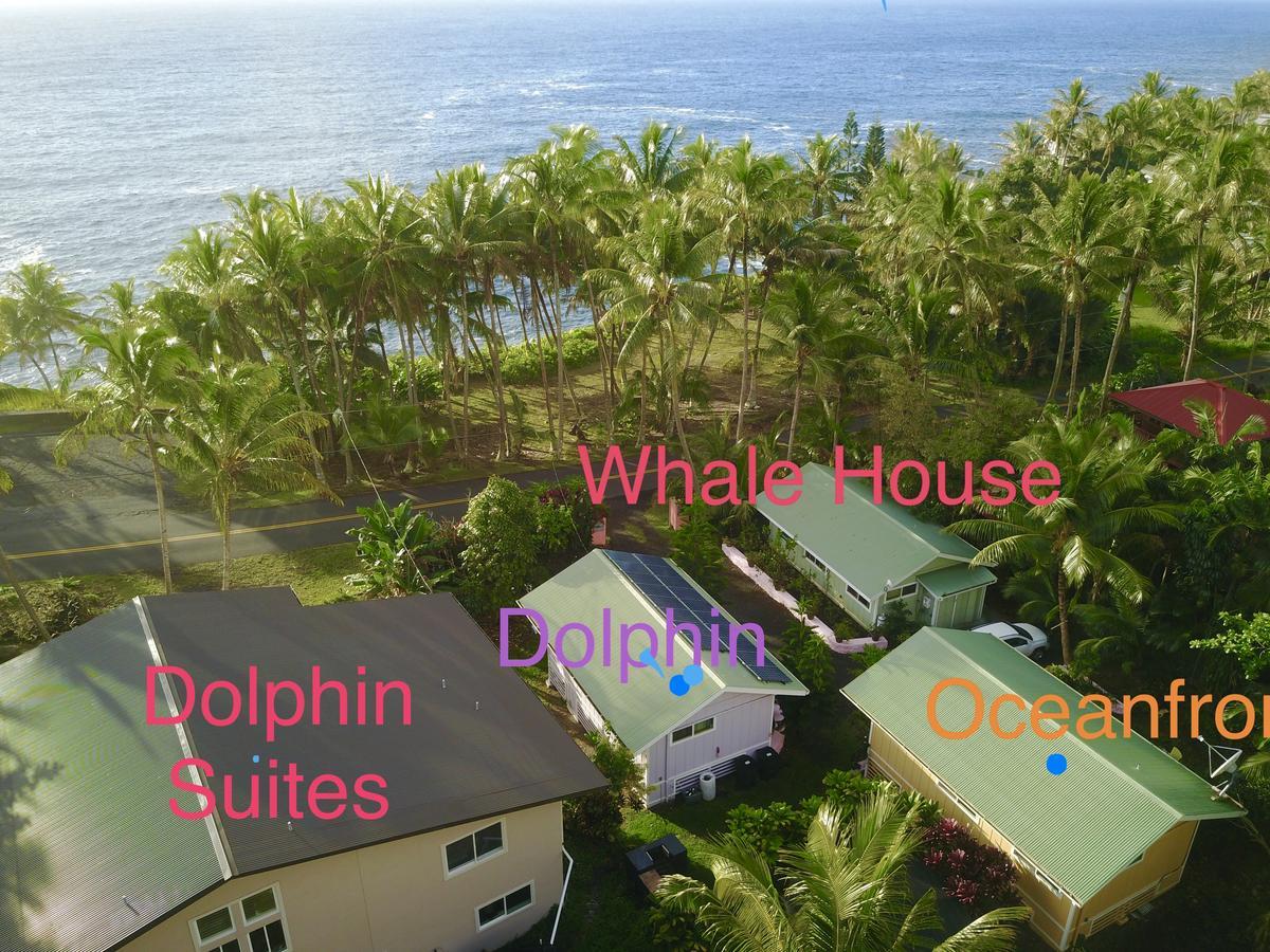 The Dolphin Cottage At Kehena Beach المظهر الخارجي الصورة
