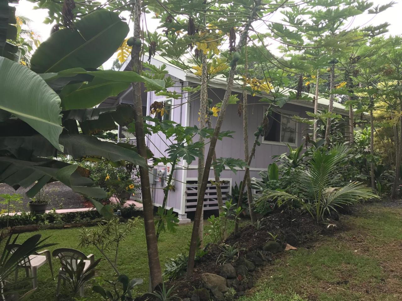 The Dolphin Cottage At Kehena Beach المظهر الخارجي الصورة